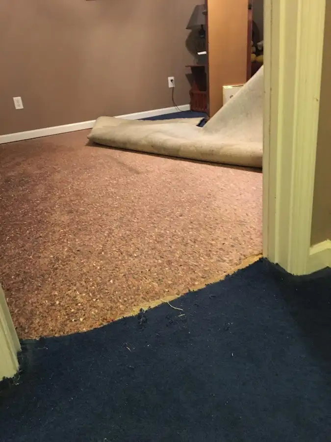 Carpet pad removal revealing water damage during Drying & Dehumidification in Barberton